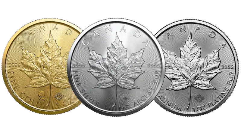 Royal Canadian Mint Maples, Silver, Gold and Platinum heads.