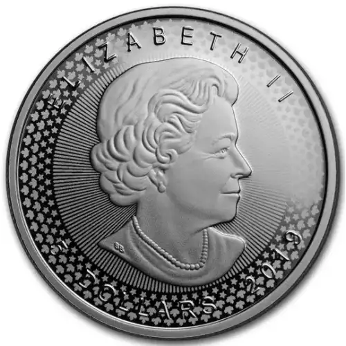 2019 U.S. Mint Pride of Two Nations Limited Edition 2-Coin Set (Eagle & Maple) (5)